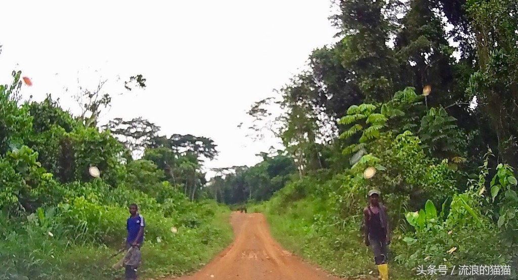 加蓬最不真实的地方,加蓬自然风光