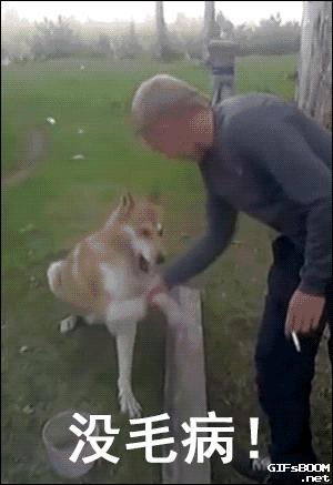 据说这是一门即将失传的古老技艺,据说这是标准的东方审美