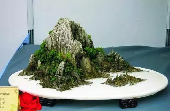 世界上最美的盆景有哪些,世界上最美的盆景