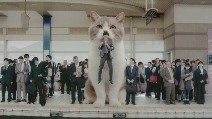 嚼口香糖魔性,最具嚼劲的口香糖