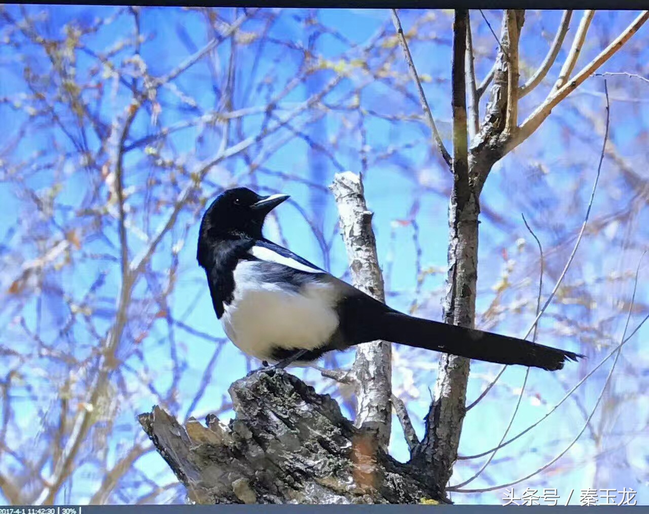 朋友圈最讨厌哪个行为,朋友圈最讨厌的三种人