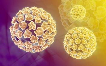 得了hpv是不是就得了宫颈癌,HPV是导致宫颈癌的唯一因素吗