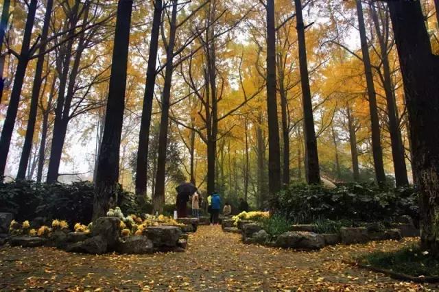 不花一分钱游遍美景,不花一分钱游遍全世界