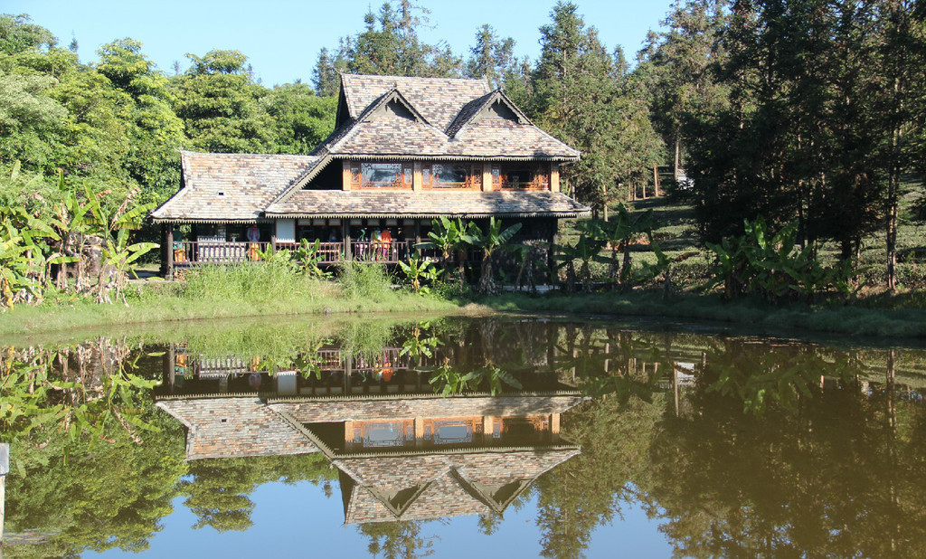 西双版纳绿色美景视频,云南西双版纳美景高清图片