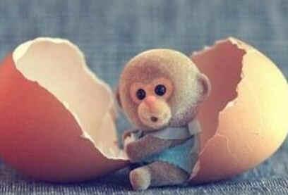 汉程生活十二生肖运势,最具大智慧的生肖猴