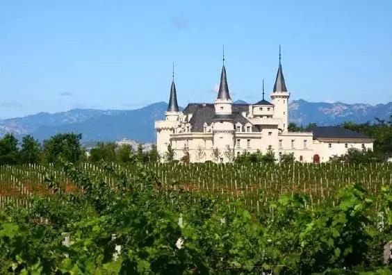 一组张裕爱斐堡酒庄实景图,蓝裕文化