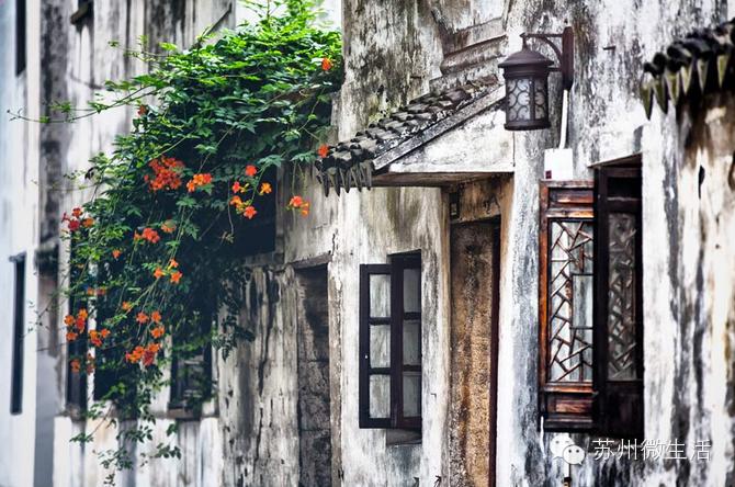 苏州最值得去的五个景点,苏州最值得去的10个景点排名