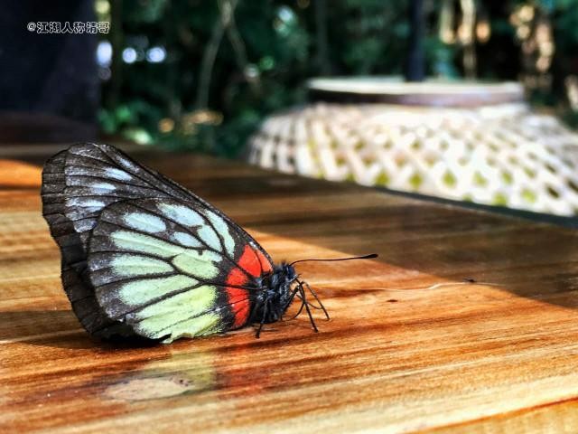五月五日广州去哪里玩,五月五天去哪玩比较好
