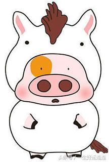 属相猪寿命多少,生肖猪好事发生的年龄