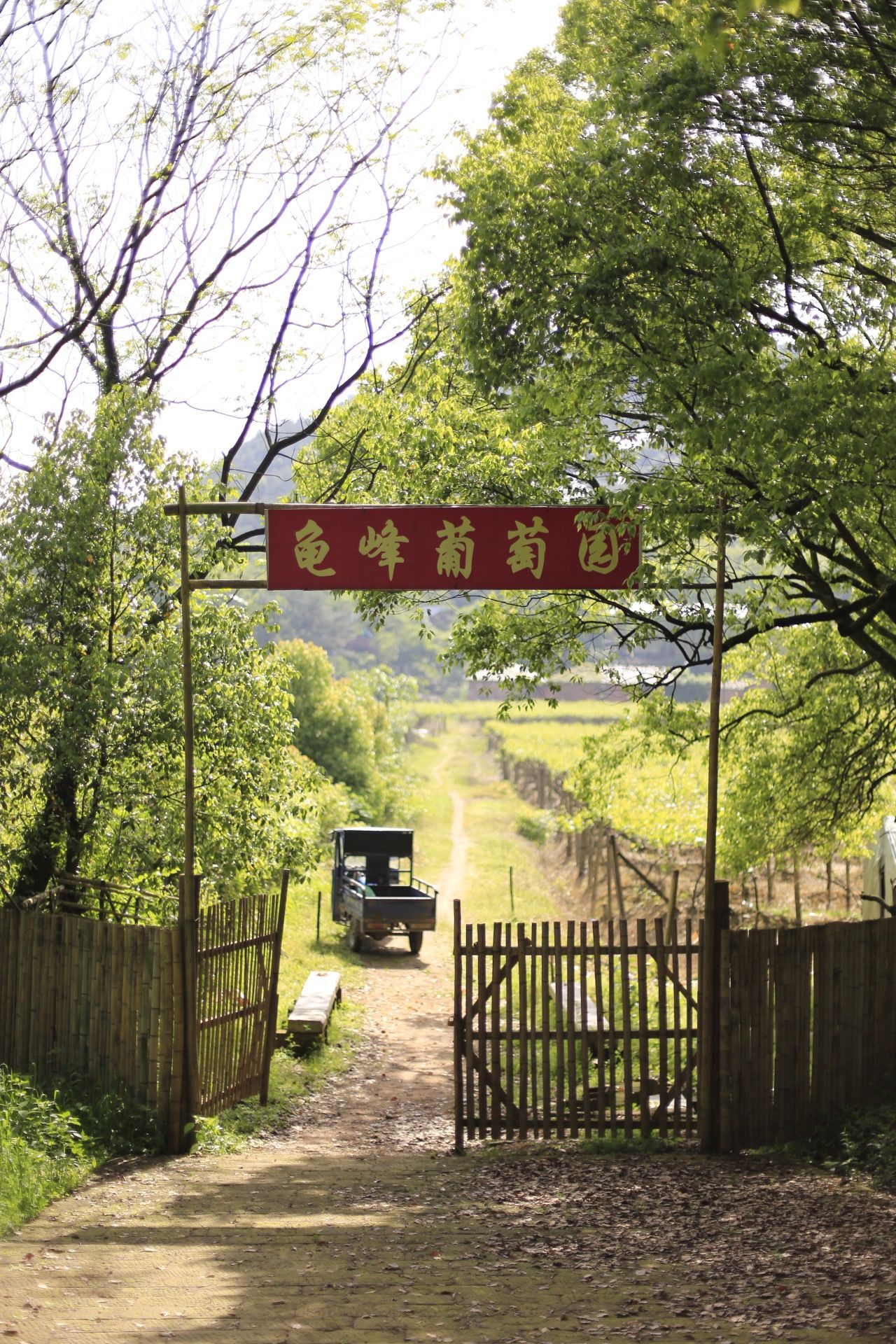 龟峰，创世之神为什么把乌龟的形象封存在这里