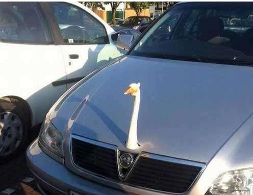 面对女朋友的无理取闹怎么办,怎么应对女朋友胡闹