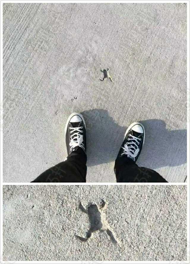 面对女朋友的无理取闹怎么办,怎么应对女朋友胡闹