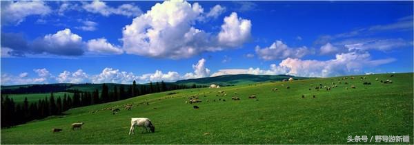 目前国内哪些证含金量高,国家含金量高的证有哪些