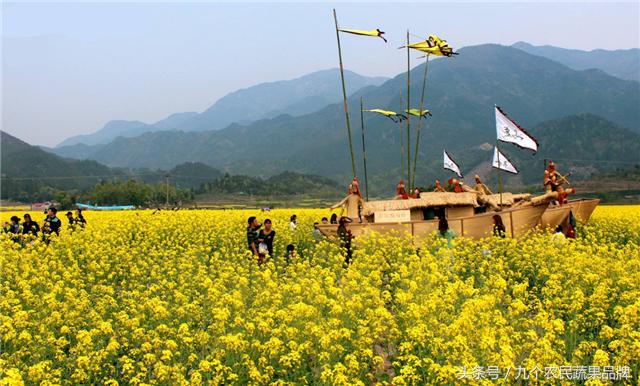 胡晓云,农产品区域公用品牌政策体系