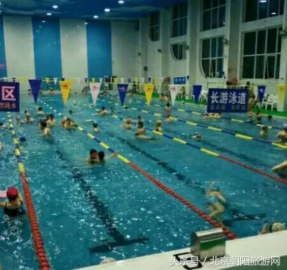 优质游泳馆推荐,游泳馆清凉一夏