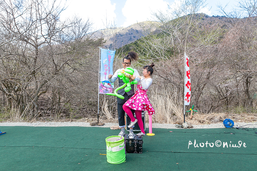 澳门航空空姐游东京 富士山下遇见最美的樱花