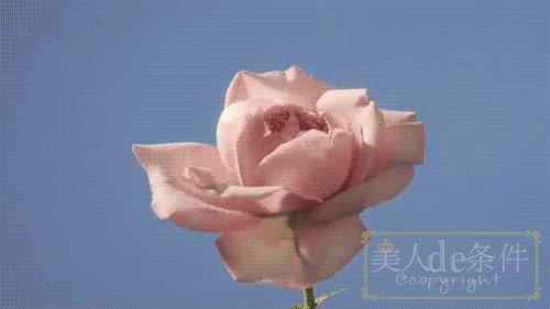 别再纠结送什么礼物,给妈妈的礼物推荐秋冬款高级感