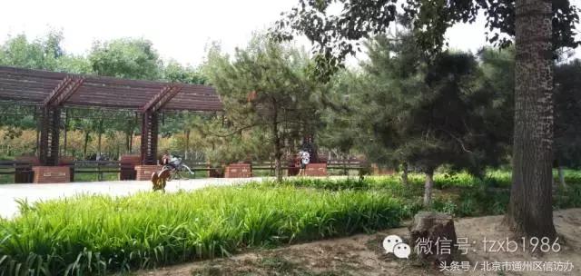 美爆了新中式庭院,美爆了新中式庭院3000平