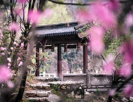 你的微信名字暴露你的个性,你的微信名可能暴露了你的层次