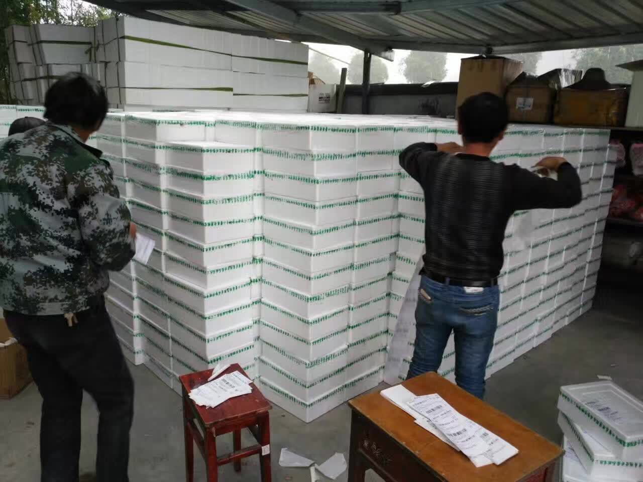 千岛湖甲鱼纯野生甲鱼,全国最大的甲鱼养殖基地在哪里