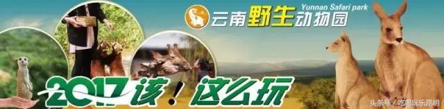 昆八中介绍,再见八中