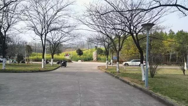 汉语言文学读研是什么体验,汉语言文学就读感受