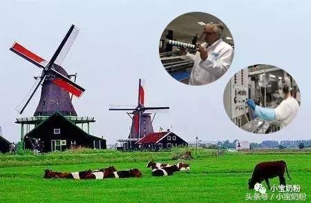 真假奶粉显微镜,真假奶粉检测