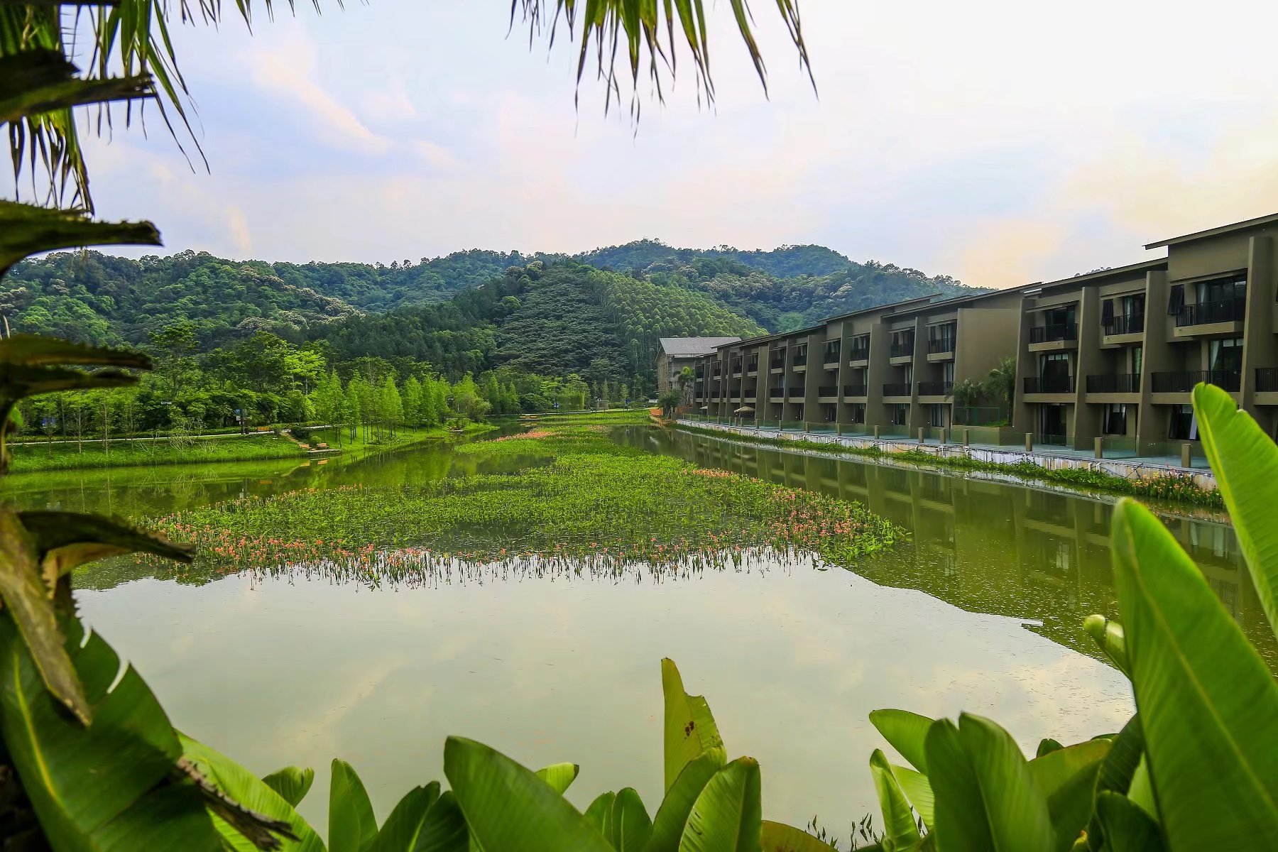 这样的休闲度假方式也很不错