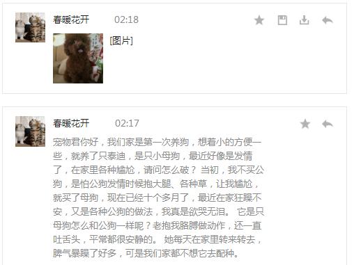 母狗突然狂躁是什么原因,我家的母狗过于活泼怎么办