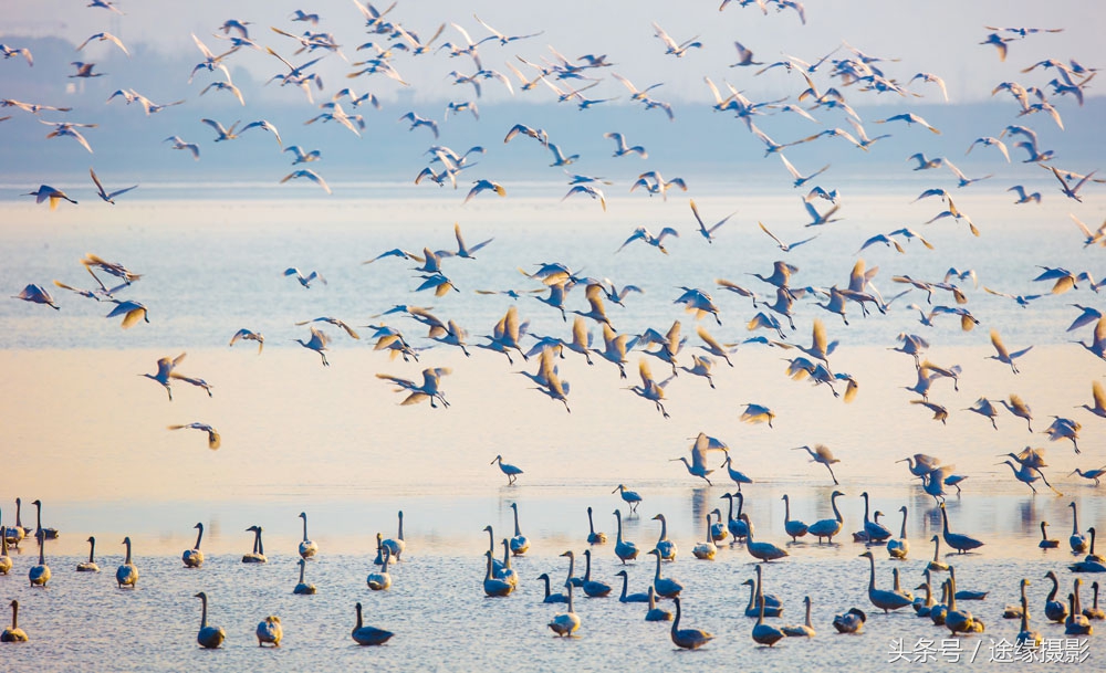 经过湖北最绕的高铁路线，直线900公里绕出了1800公里长度