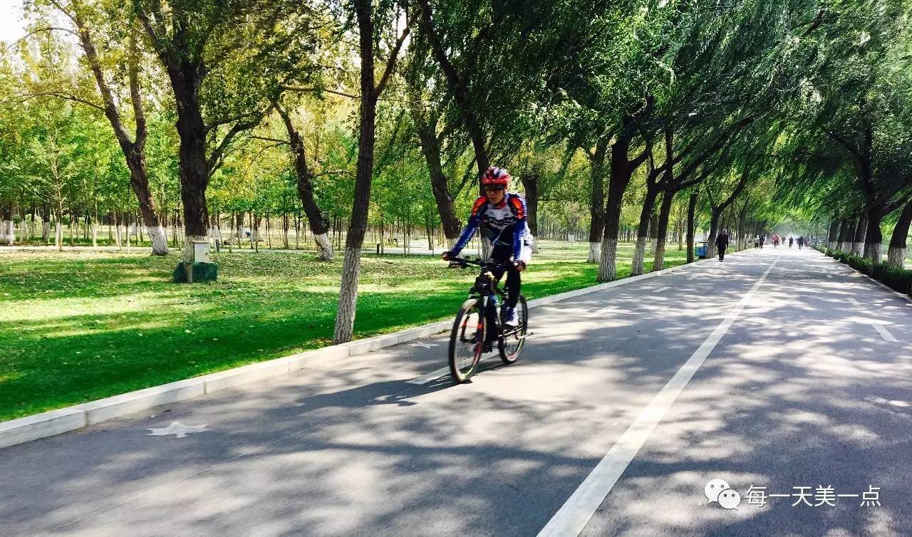 沈阳浑河边骑行夜景,浑河漫步道自行车
