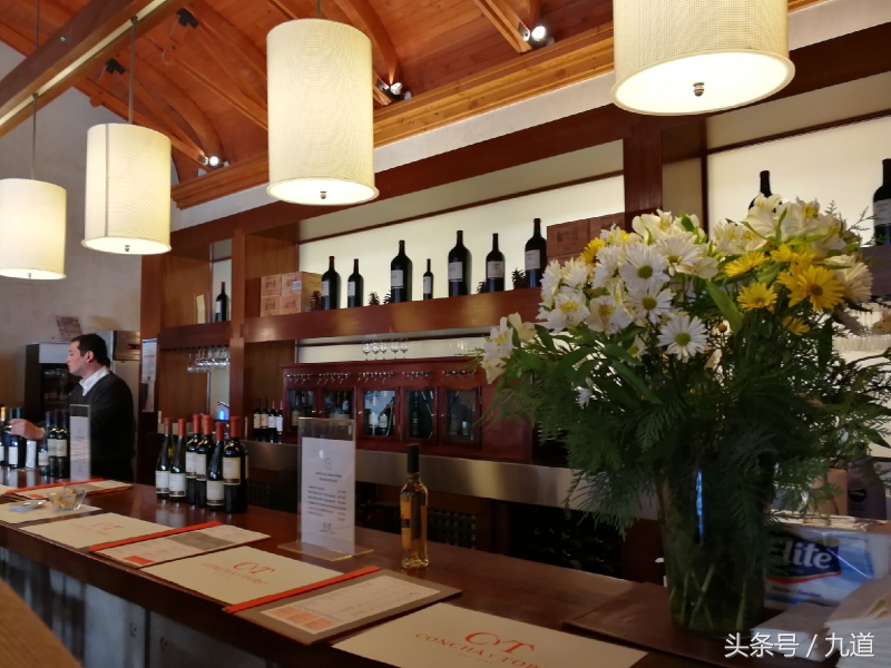 智利佳美娜酒,智利佳美娜品牌推荐