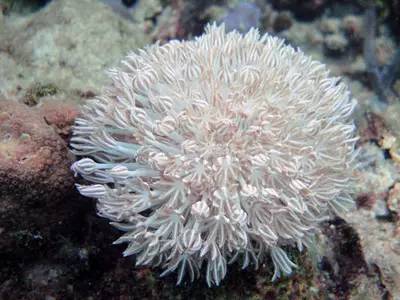 海岛自由行,睡到自然醒海边