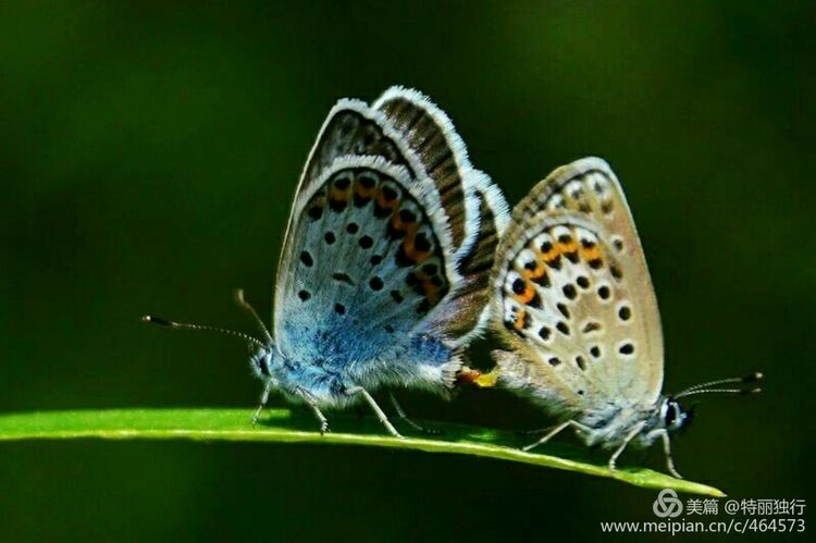 走过四季夏天最美,走过春夏美丽的秋冬