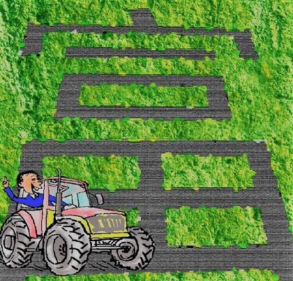 山区农民致富好项目,带动农民致富项目