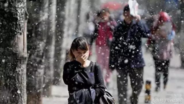 杨絮柳絮的危害与预防方法,杨絮一般多久能消除