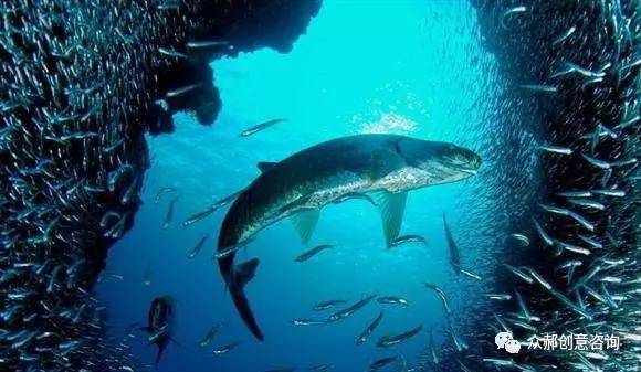 为什么餐饮现在都放开加盟门槛了,做餐饮加盟最重要的是什么