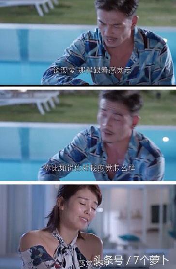 小包总求投靠求收留,欢乐颂小包总求投靠第几集