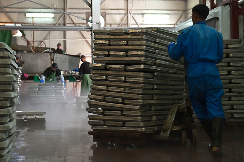 带你探寻顶级鱼子酱的加工流程,顶级鱼子酱加工过程