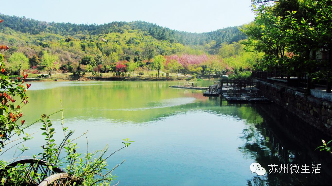 苏州最值得去的五个景点,苏州最值得去的10个景点排名