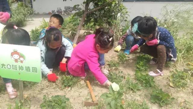 五月的小可爱们视频,五月可爱的小宝宝