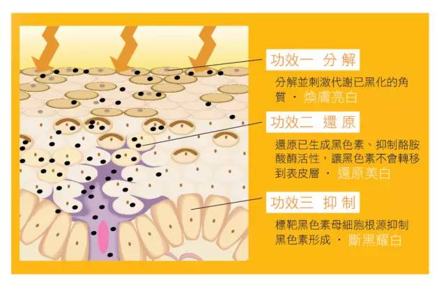 揭秘｜爱它，高贵冷艳又神秘（上）-美白淡斑精华篇