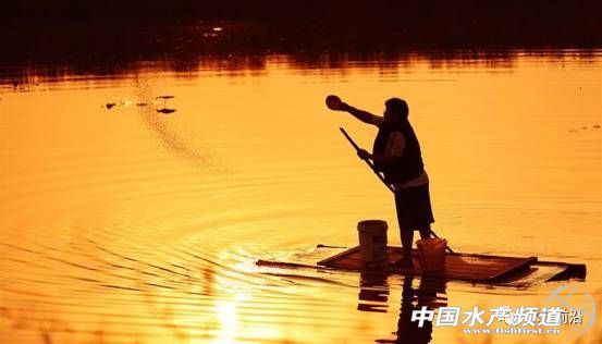 日供鲤鱼八千条，这家公司怎样把冷门的鲤鱼逆转成餐饮热点？
