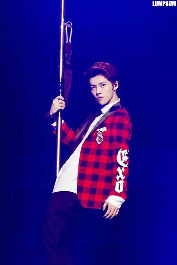 鹿晗树深时见鹿小说,鹿晗森林里的小鹿