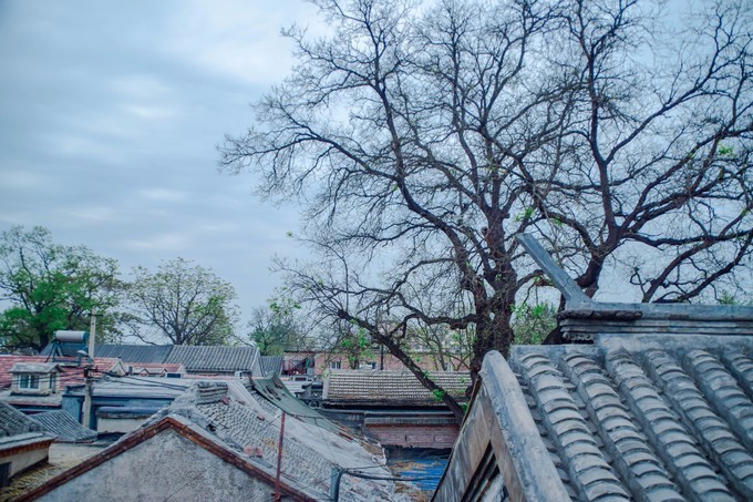 一个单反·踏春北上错过北奥，错过APEC，终于！我这一个小老百姓来到了皇城根底下