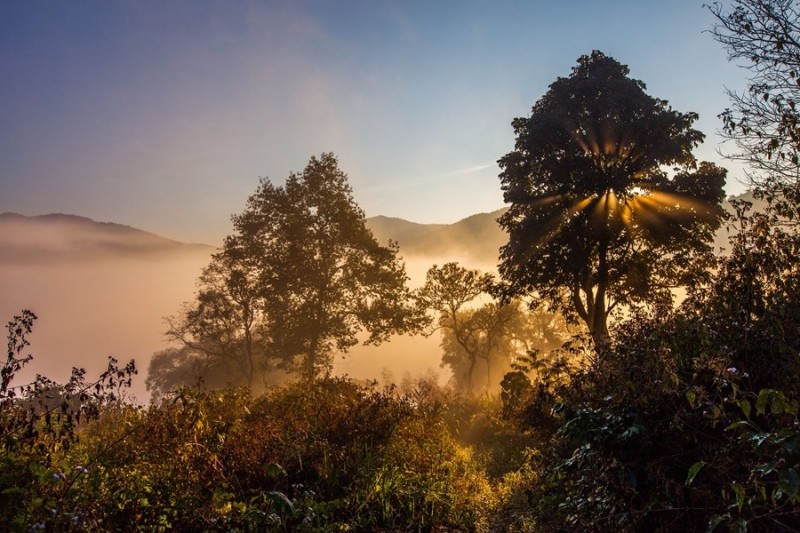 普洱哪个位置风景好看一点,普洱边境风景