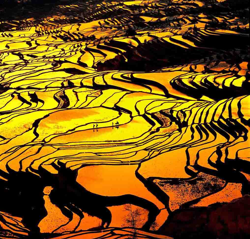 龙胜梯田旅游游记,醉美梯田畲乡