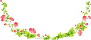 益生菌的那些事儿育儿大师,益生菌你不知道的那些事