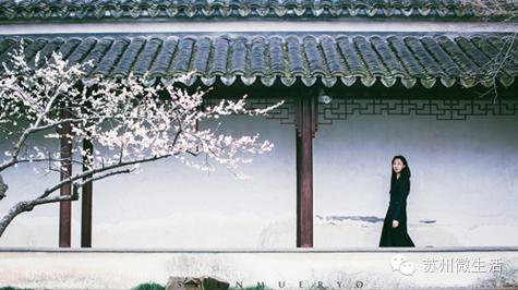 苏州最值得去的五个景点,苏州最值得去的10个景点排名