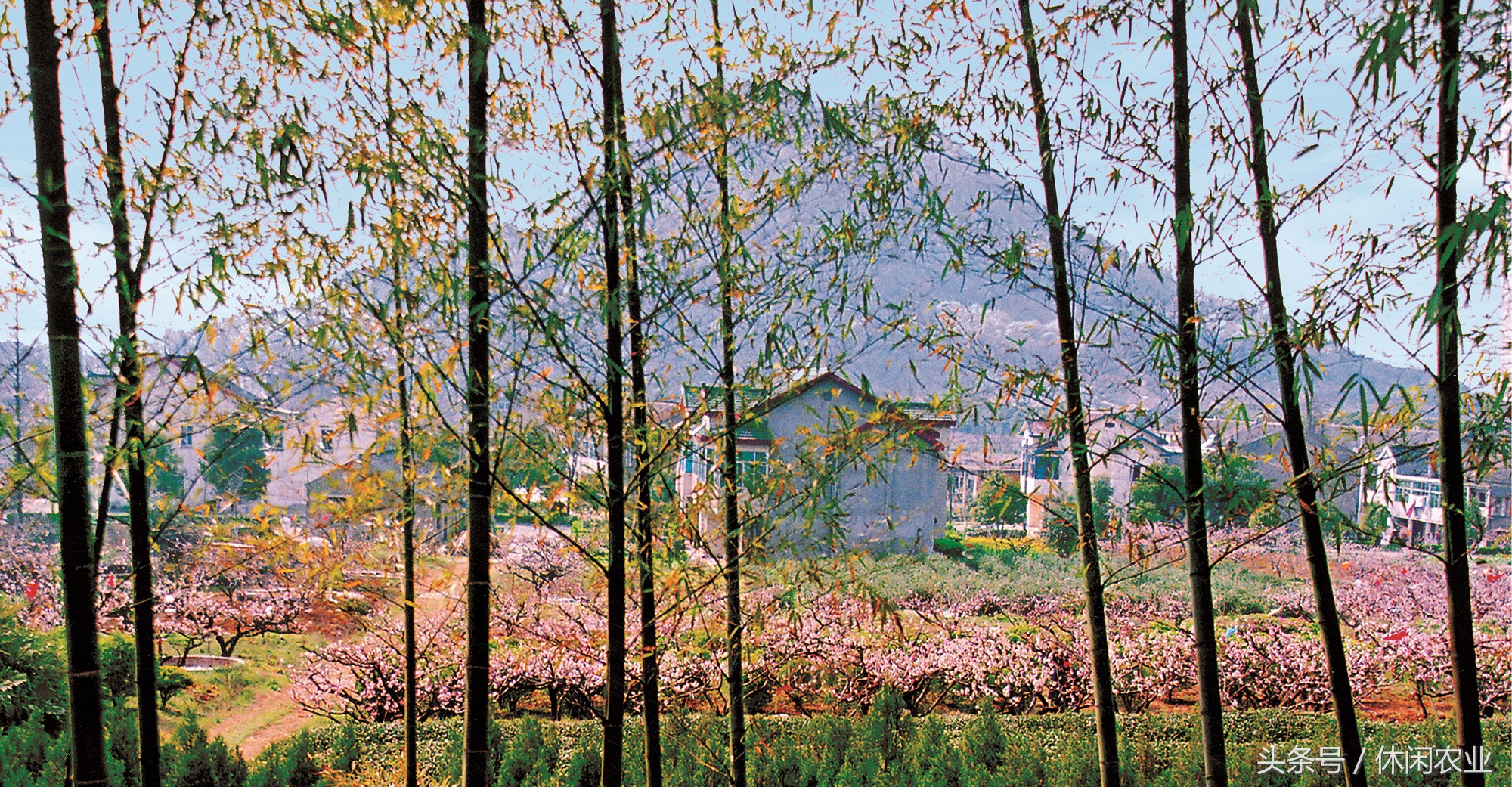 无锡阳山镇景区,阳山休闲好去处